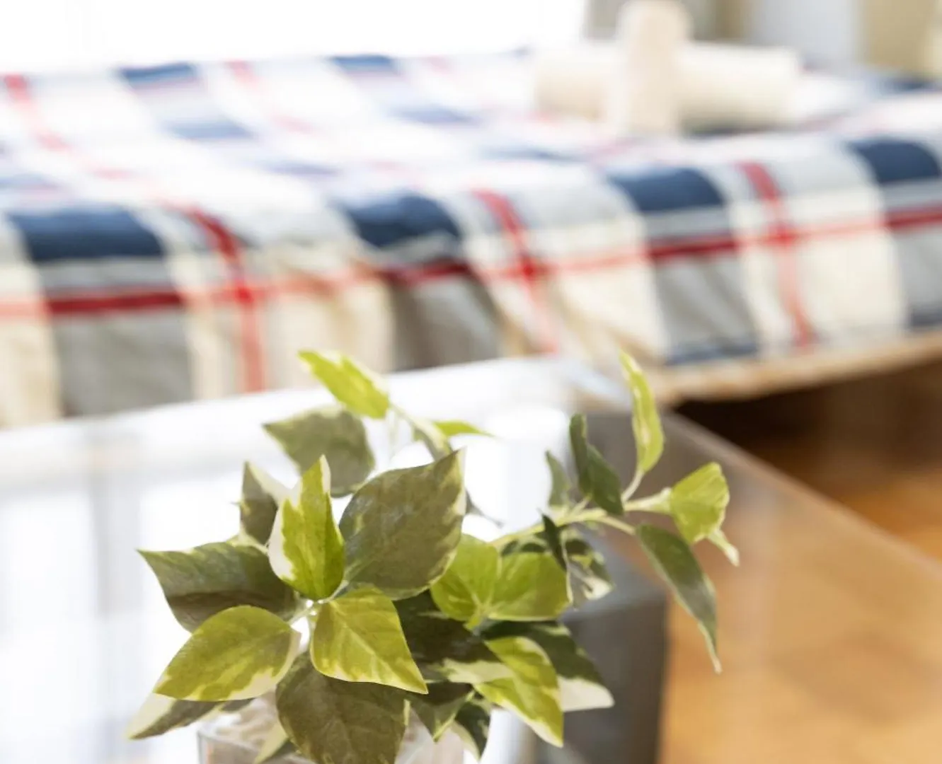 Apartament カプリス豊平公園201号室 Toyohira